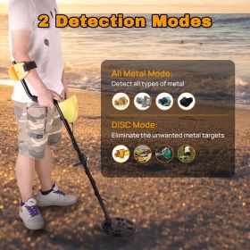 Metal Detector